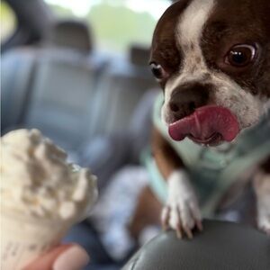 Meet your Posher, Kelsey